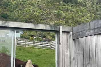 2053 Whangarei Heads Road, Whangarei Heads