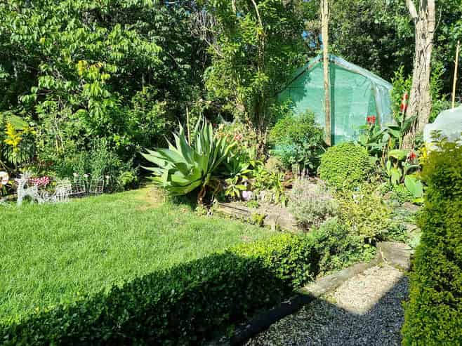 84 Butterworth Drive, Glendene