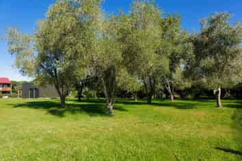 211 Lovers Lane, Kaikoura