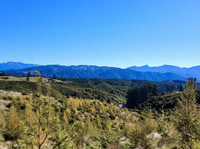 854A Neudorf Road, Upper Moutere