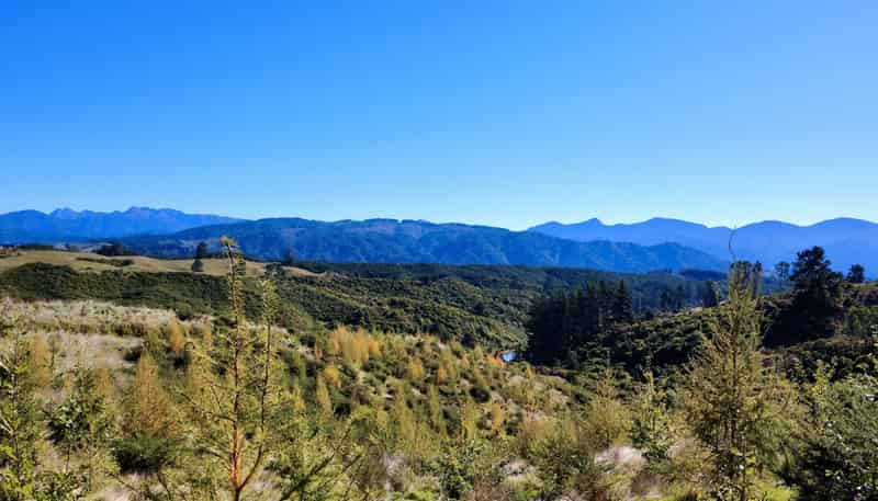 854A Neudorf Road, Upper Moutere
