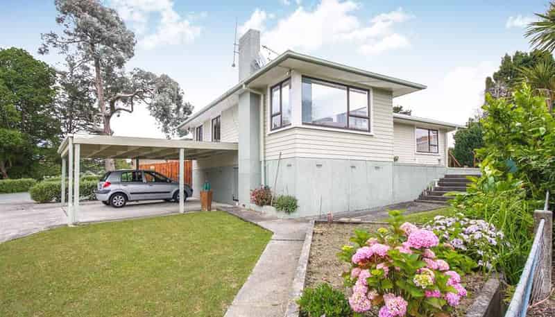 25 Cutler Street, New Lynn