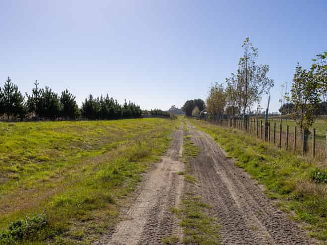 163 Downs Road, Himatangi