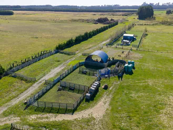 163 Downs Road, Himatangi