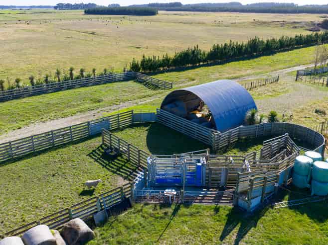 163 Downs Road, Himatangi