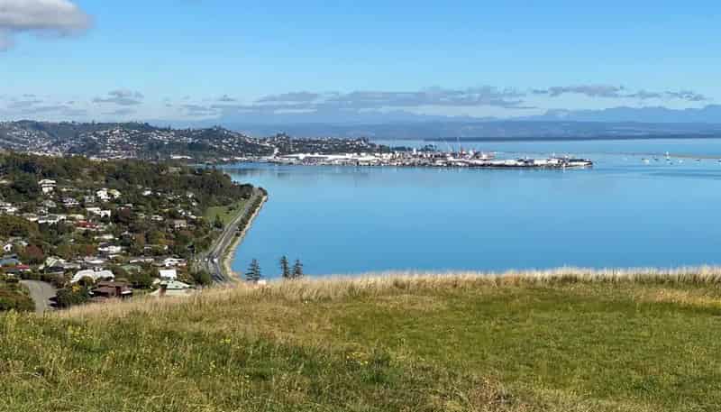 113 Bay View Road, Atawhai