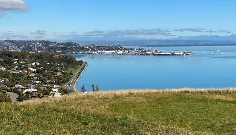  113 Bay View Road, Atawhai