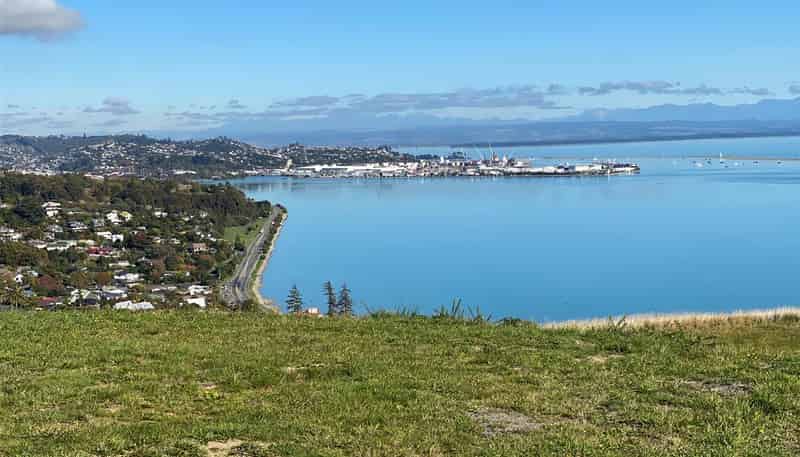  111 Bay View Road, Atawhai