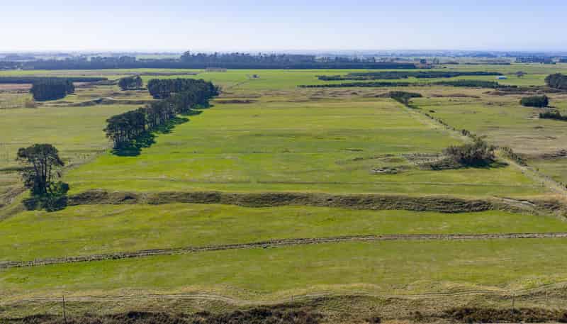 177 Downs Road, Himatangi