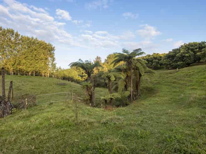 222 Wharawhara Road, Katikati