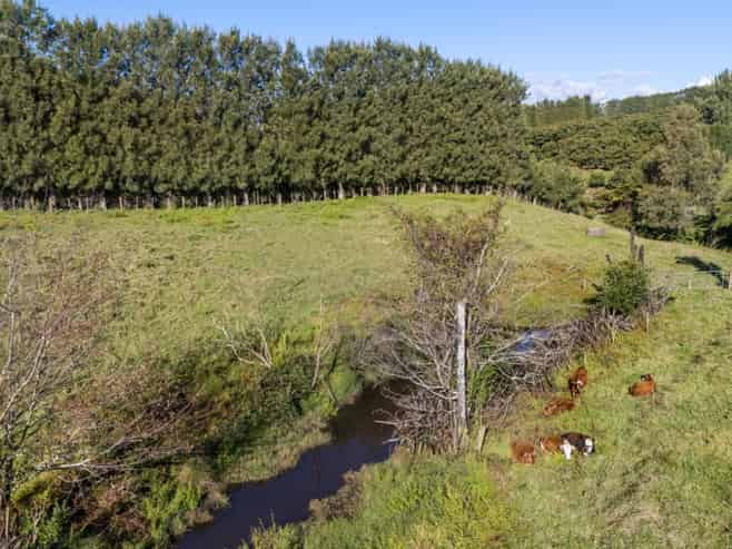 222 Wharawhara Road, Katikati