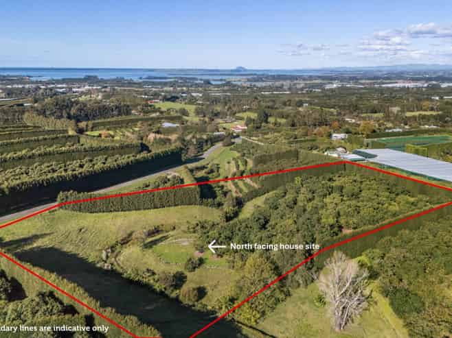 222 Wharawhara Road, Katikati
