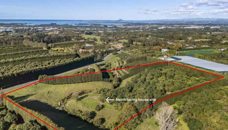 222 Wharawhara Road, Katikati
