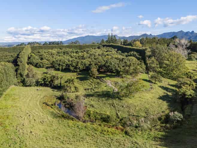 222 Wharawhara Road, Katikati