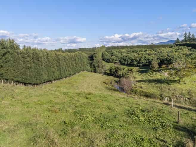 222 Wharawhara Road, Katikati