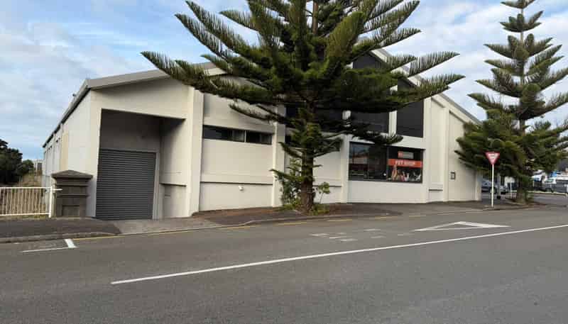 65 Molesworth Street, New Plymouth