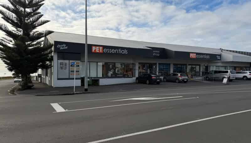 65 Molesworth Street, New Plymouth
