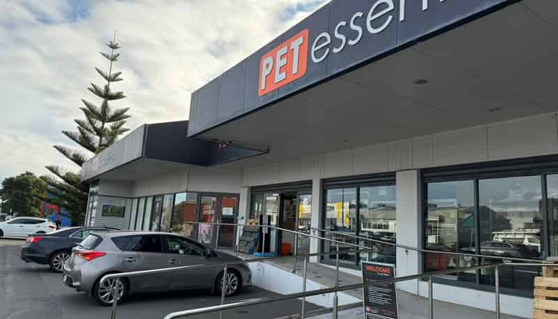 65 Molesworth Street, New Plymouth