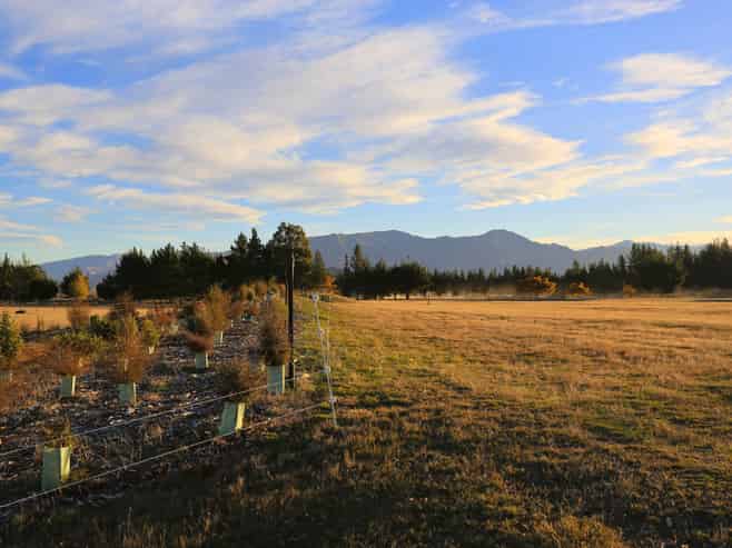 71 Seven Lane, Wanaka