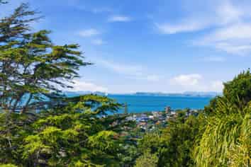355 East Coast Road, Mairangi Bay