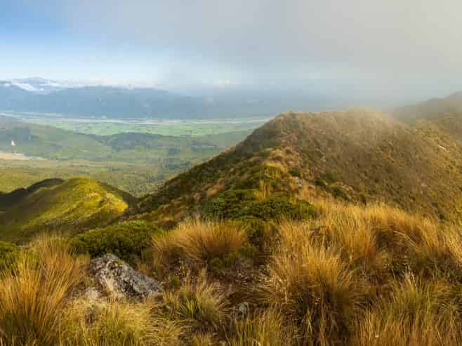  Happy Valley, Ross