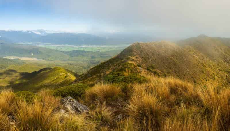  Happy Valley, Ross