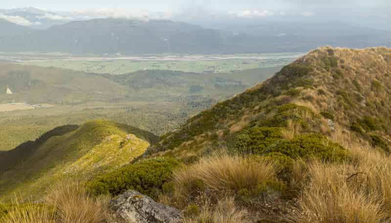  Happy Valley, Ross