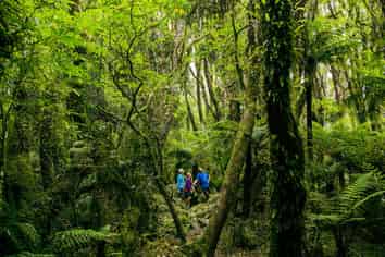 Glacier Valley Eco Tours