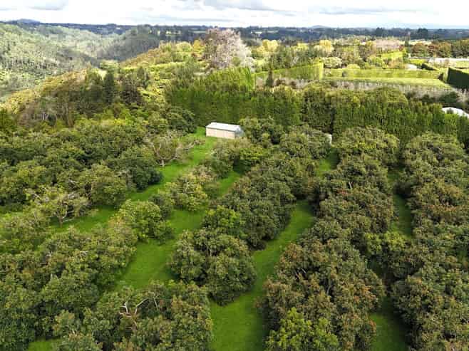 559B Belk Road, Omanawa