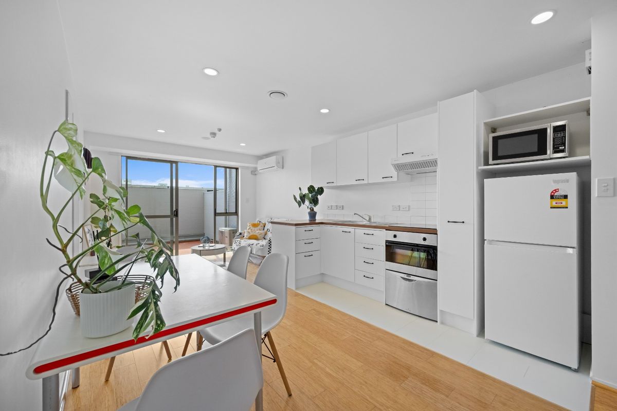 Grey Lynn - Widok 6