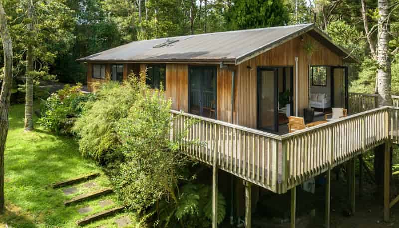 53B Onedin Place, Titirangi