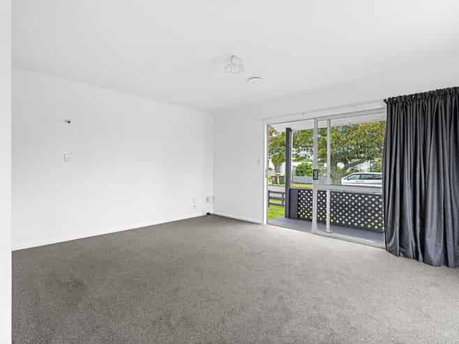 9 Guy Avenue, Levin