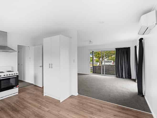 9 Guy Avenue, Levin