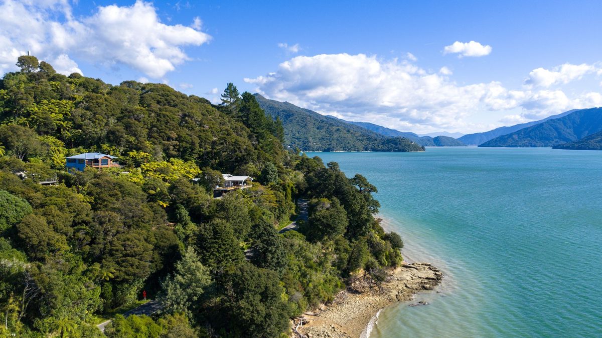 Owners Wellington-bound - a very reluctant sale! - Ansicht 2