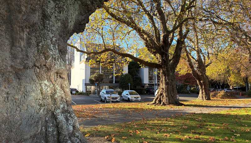  61 Cambridge Terrace, Christchurch Central