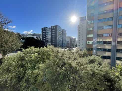 3/179 The Terrace, Wellington Central