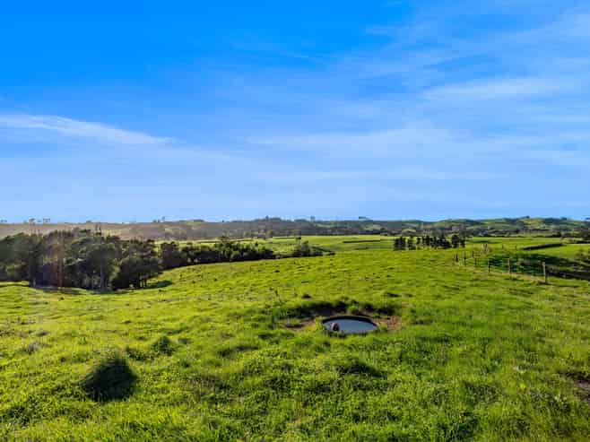 575a Hursthouse Road, Tarurutangi