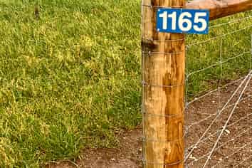 1165 Motu Rimu Road, Motu Rimu