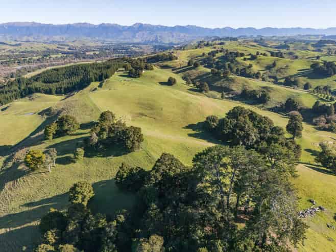613 Blackburn Road, Ongaonga