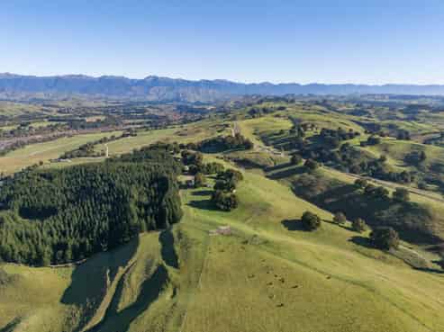 613 Blackburn Road, Ongaonga