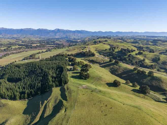613 Blackburn Road, Ongaonga