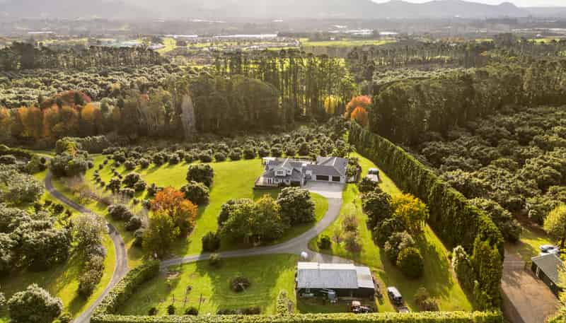 93a Walker Road East, Katikati