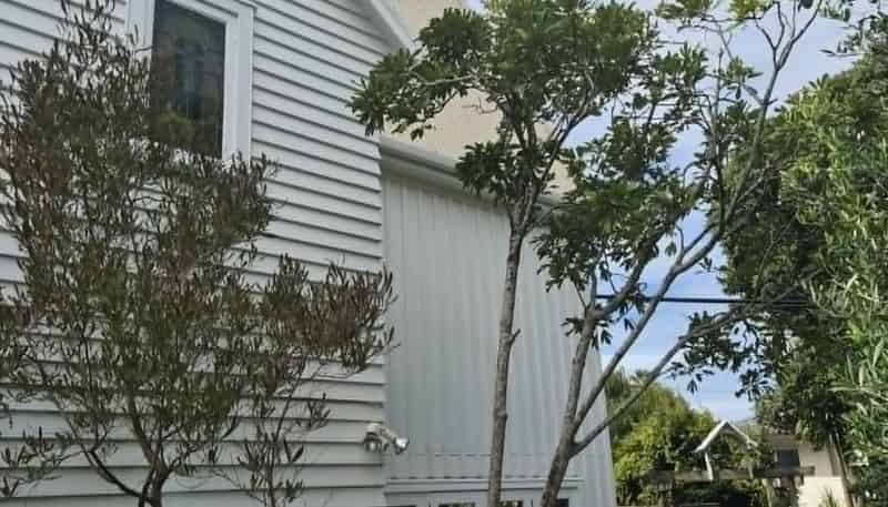 Ground Flo/327 Beach Road, Campbells Bay