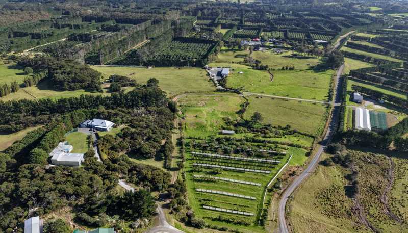212C Whalers Road, Pukenui