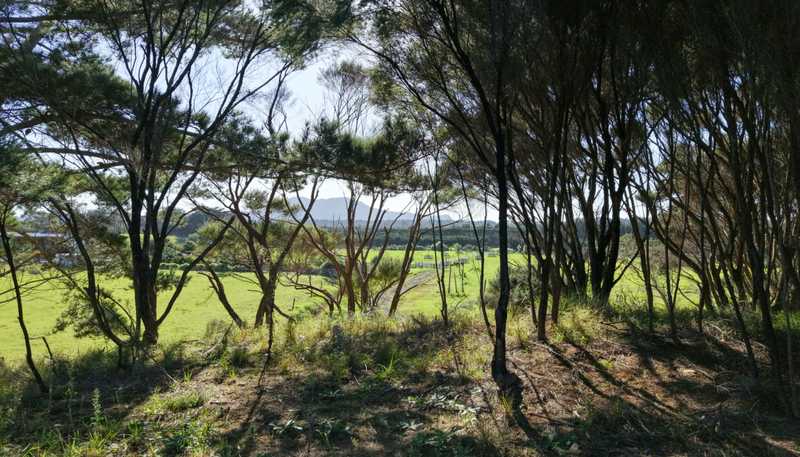 212C Whalers Road, Pukenui