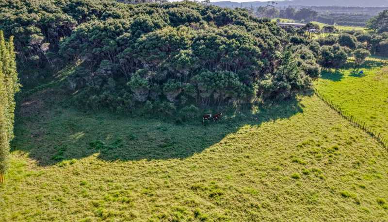 212C Whalers Road, Pukenui