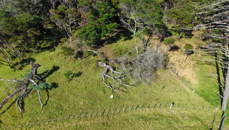 212C Whalers Road, Pukenui