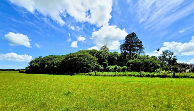  Tramline Road, Ruawai