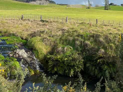 54 Retreat Road, Paihia