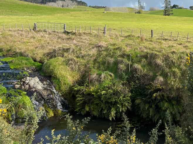 54 Retreat Road, Paihia